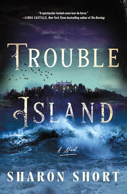 Trouble Island: A Novel cover image