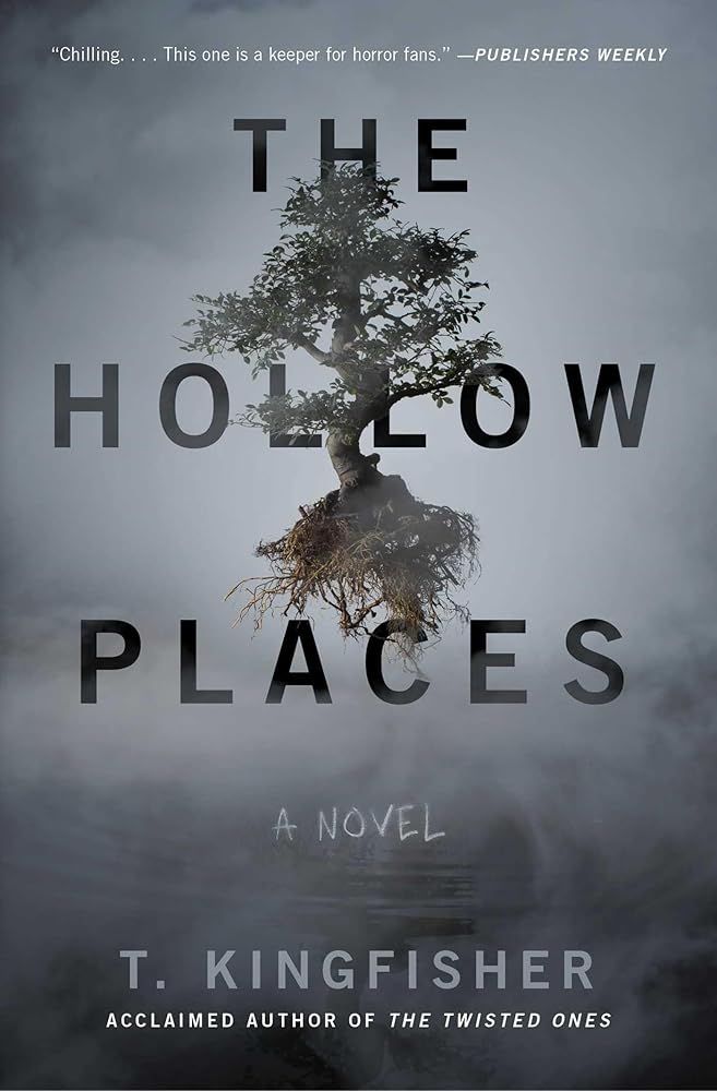 The Hollow Places: A Novel cover image